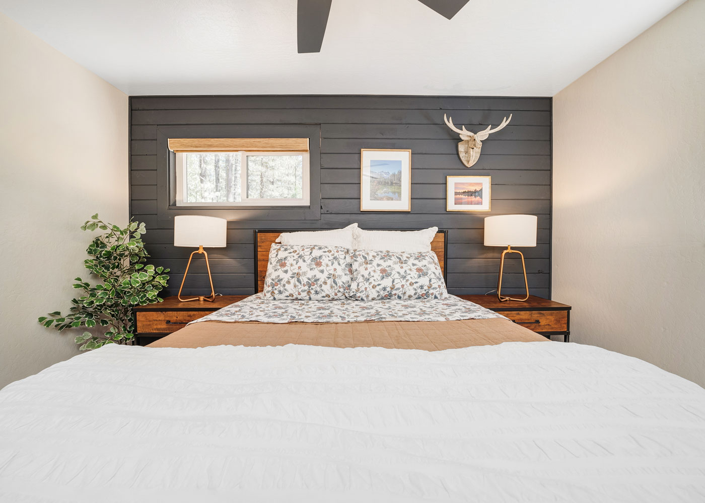Rental Image 12